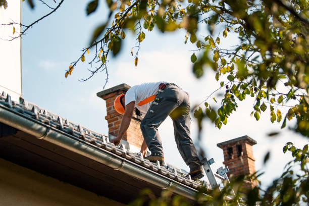 Best 4 Ply Roofing  in Pendleton, IN